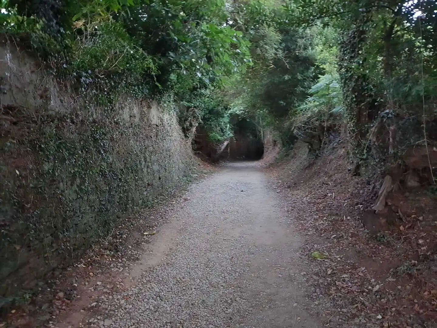 El Camino de Santiago 2017: aquí surgió la idea de Denticor