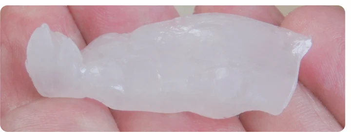 Procedimiento visual para los tres dientes posteriores inferiores: principio de colocación del puente Denticor con los nuevos dientes y su ajuste a los dientes adyacentes